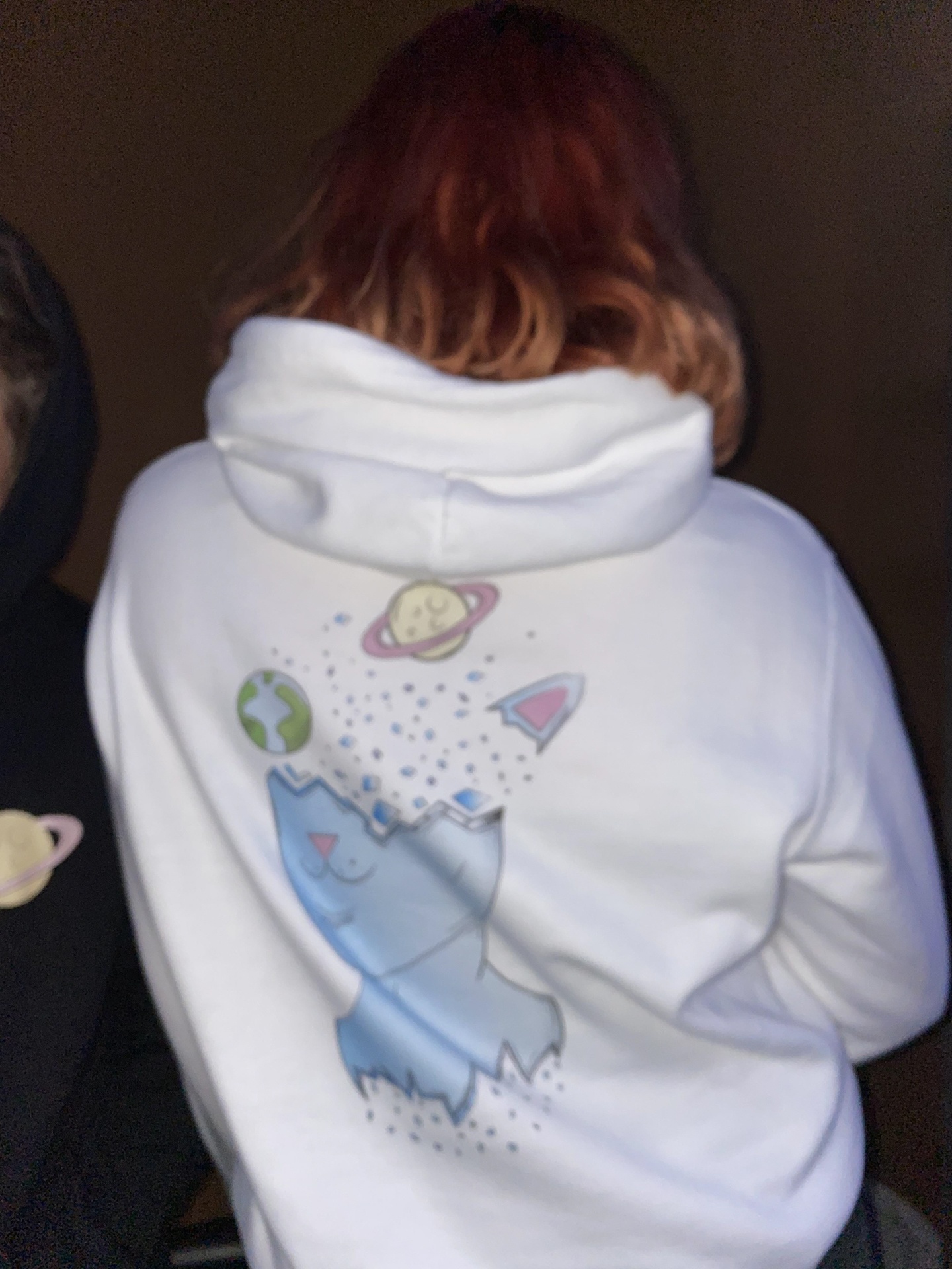 Space Cat Hoodie